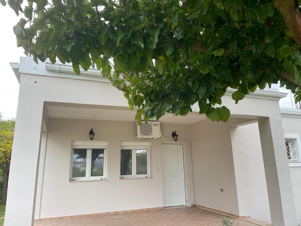 Andromahi Apartments & Suite Laganas Dış mekan fotoğraf